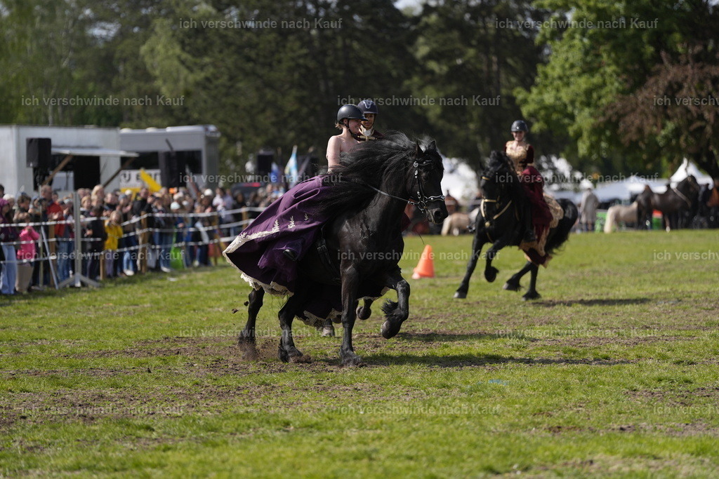 PI26_soShow_Stoibphotography_DSC3957.JPG | working equitationturnier fotograf videograf stoibphotography marixx film working equitation deutschland reitsport turnierfotografie eventfotografie equestrian events