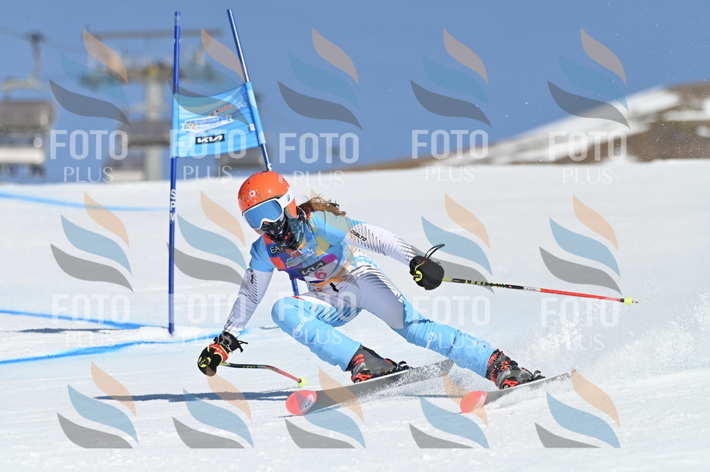 BGV_7672 | holidayphoto