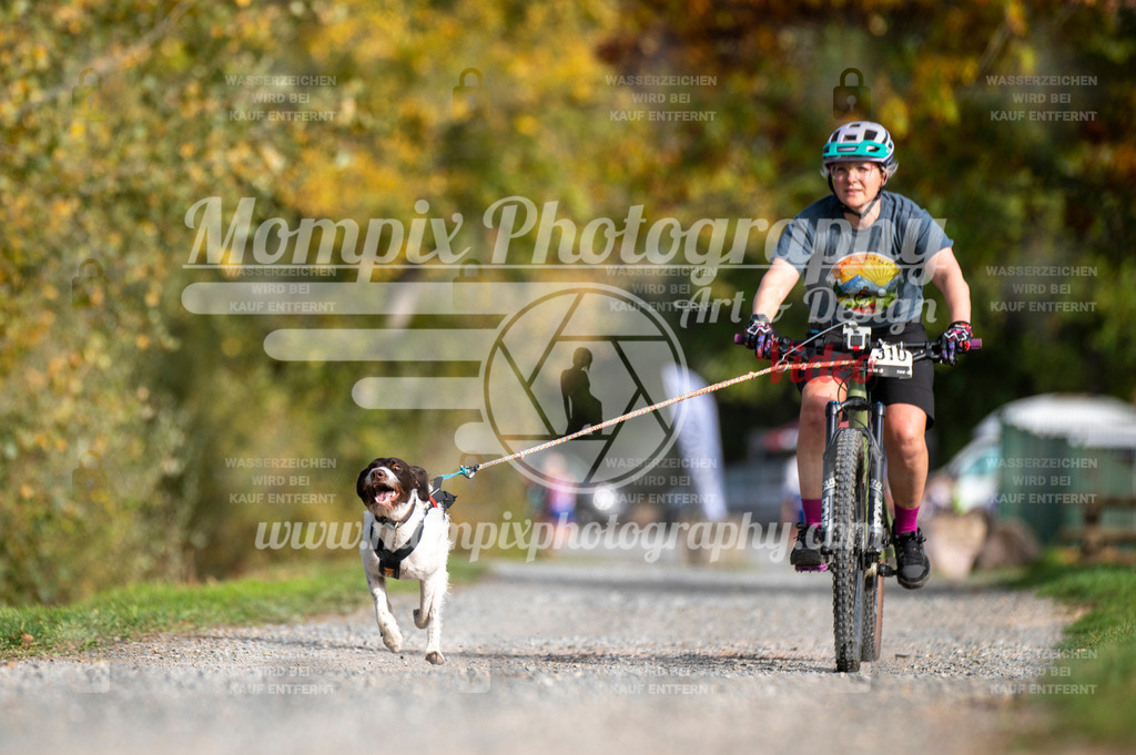TSB_2023_E2_Bike-51 | PayLife