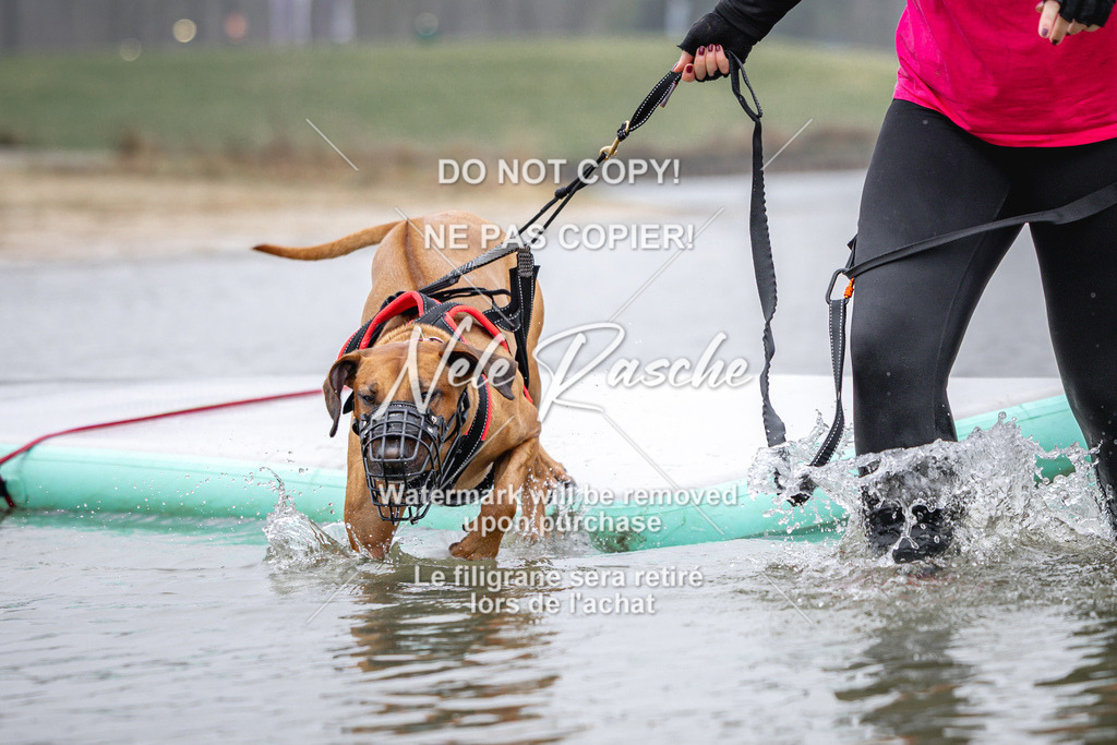 nelerasche_Hulsbeek_Sa1030-1100_215 | nelerasche