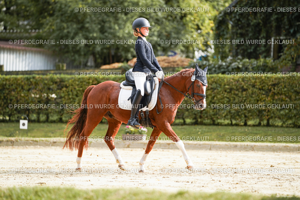 DSC03990 | Pferdegrafie