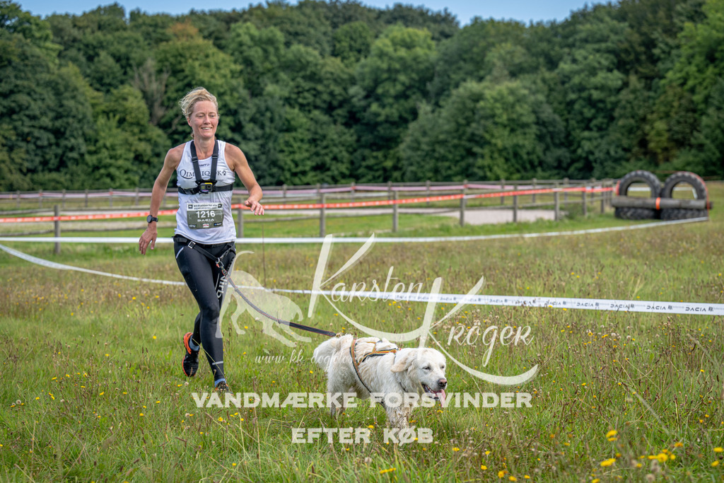 1058_ZZ91799 | kk-dogfotos