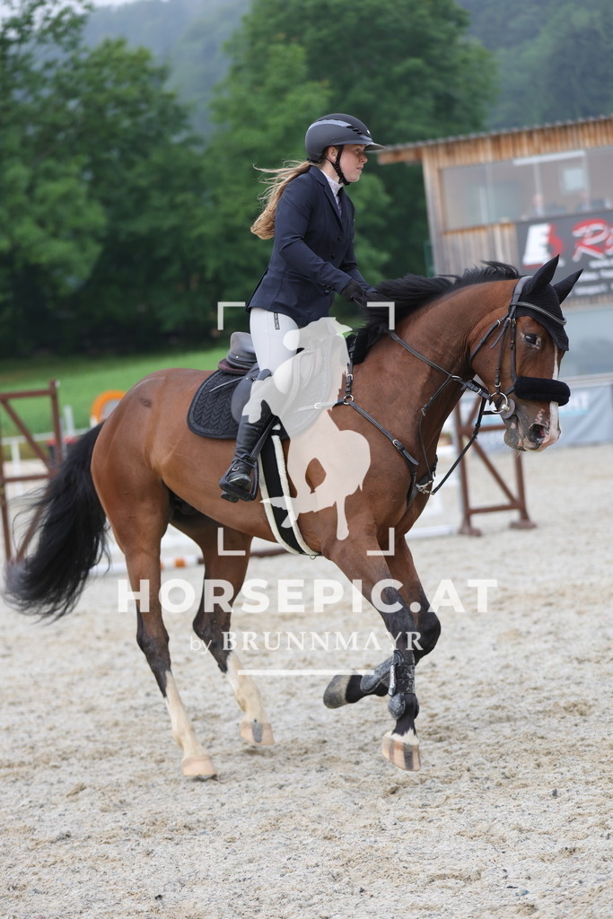 0P6A0424 | Willkommen bei Brunnmayr - Design & Fotografie – Ihrem Spezialisten für Reitturniere und Pferdeveranstaltungen in Oberösterreich, Salzburg und Bayern! Seit über 17 Jahren sind wir leidenschaftlich dabei.