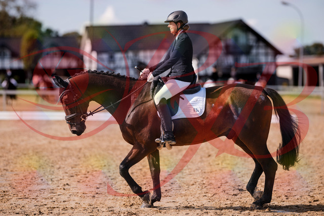 2026_10_03_Siefer-Hof_130212_Z81_55397680 | Professionelle Reitsport-, Turnier- und Eventfotografie von Robert Broda. Galerien mit ausgewählten und bearbeiteten Bildern direkt online ansehen und bestellen.