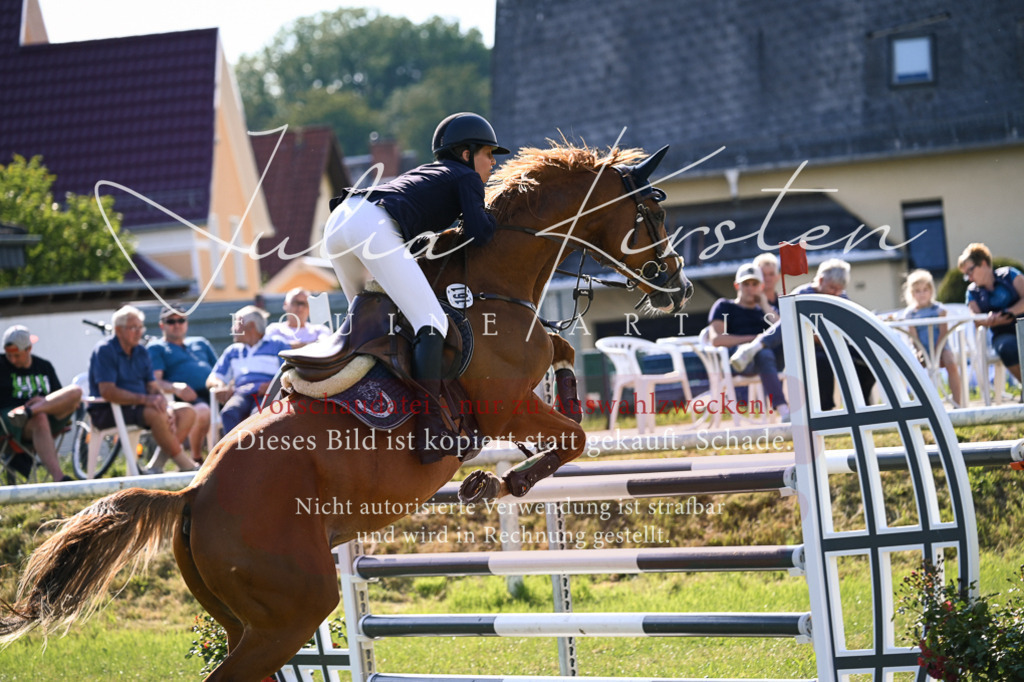 DSC_1226 | Pferde- und Turnierfotografie in Westsachsen. Pferdeportraits, Auftragszeichnungen und intuitive Kunst.