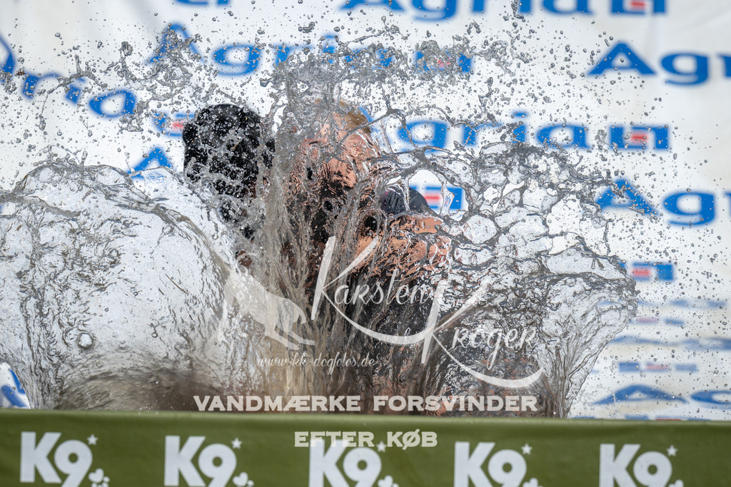 1257_ZZ97649 | kk-dogfotos