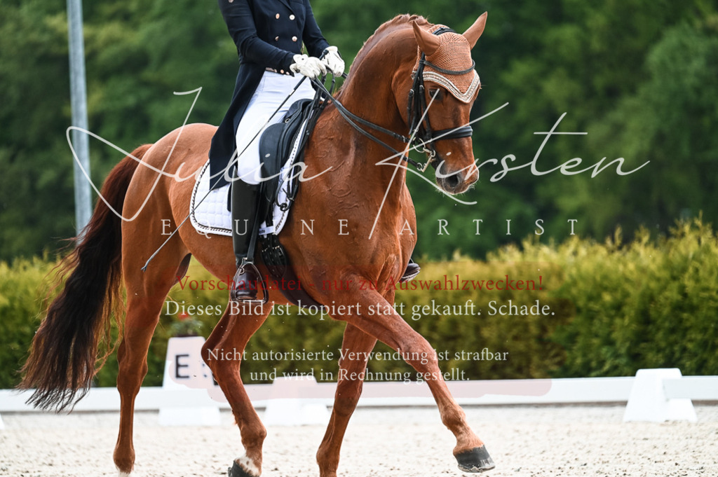20230514_JK-Röhrsdorf-21-004 | Pferde- und Turnierfotografie in Westsachsen. Pferdeportraits, Auftragszeichnungen und intuitive Kunst.