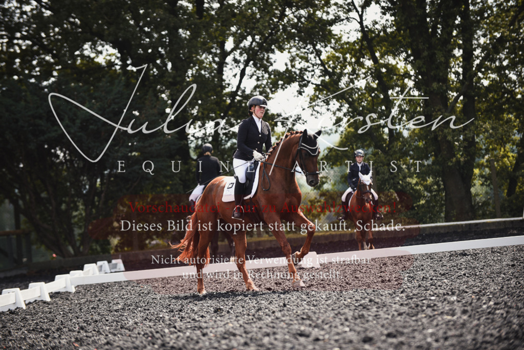 DSC_4202 | Pferde- und Turnierfotografie in Westsachsen. Pferdeportraits, Auftragszeichnungen und intuitive Kunst.