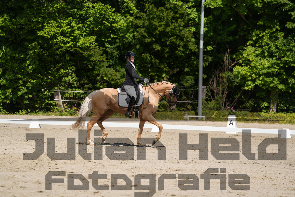 DSC00223 | Julian Held Fotografie - Realisiert mit Pictrs.com