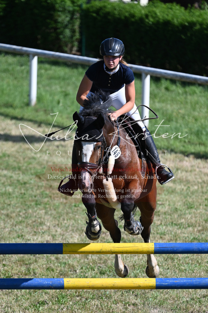 DSC_2020 | Pferde- und Turnierfotografie in Westsachsen. Pferdeportraits, Auftragszeichnungen und intuitive Kunst.