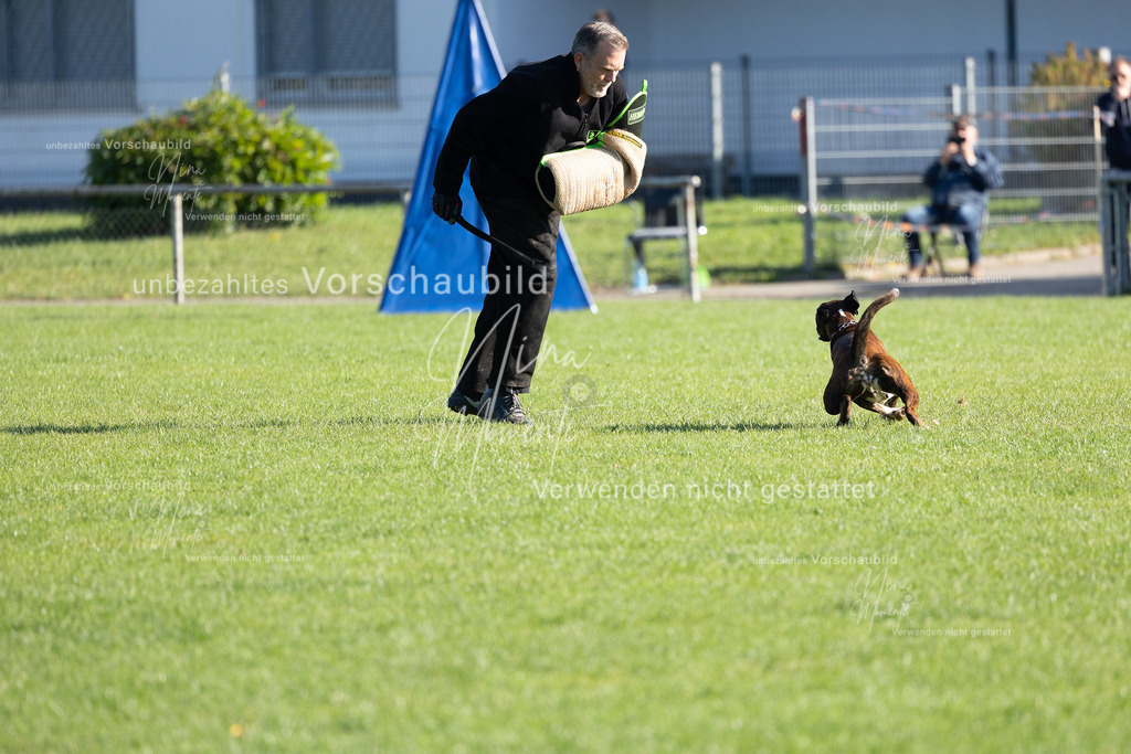 _16A5137 | Einzigartige Fotos von Hunden & Menschen –Actionfotos, Portraits, Vereinsaufnahmen & Paarshootings – authentisch, lebendig & mit Herz.