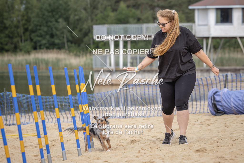 nelerasche_BuHu2026_So09-10_156 | nelerasche