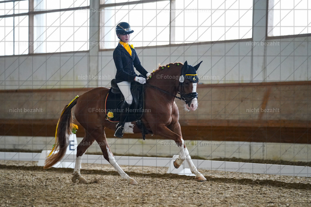 20240825-FAH09668 | Turnierbilder, Reitsportfotos, LAPO, Landesponyturnier, Turnierfotografen Bayern