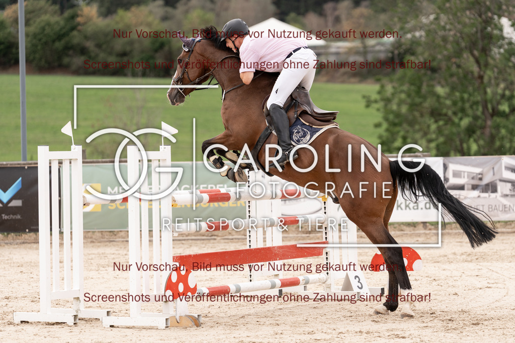DSC06488 | Springturnier_Teamchallege_Talheim_2026, Andreas_Wittlinger, Charlie_Brown_148