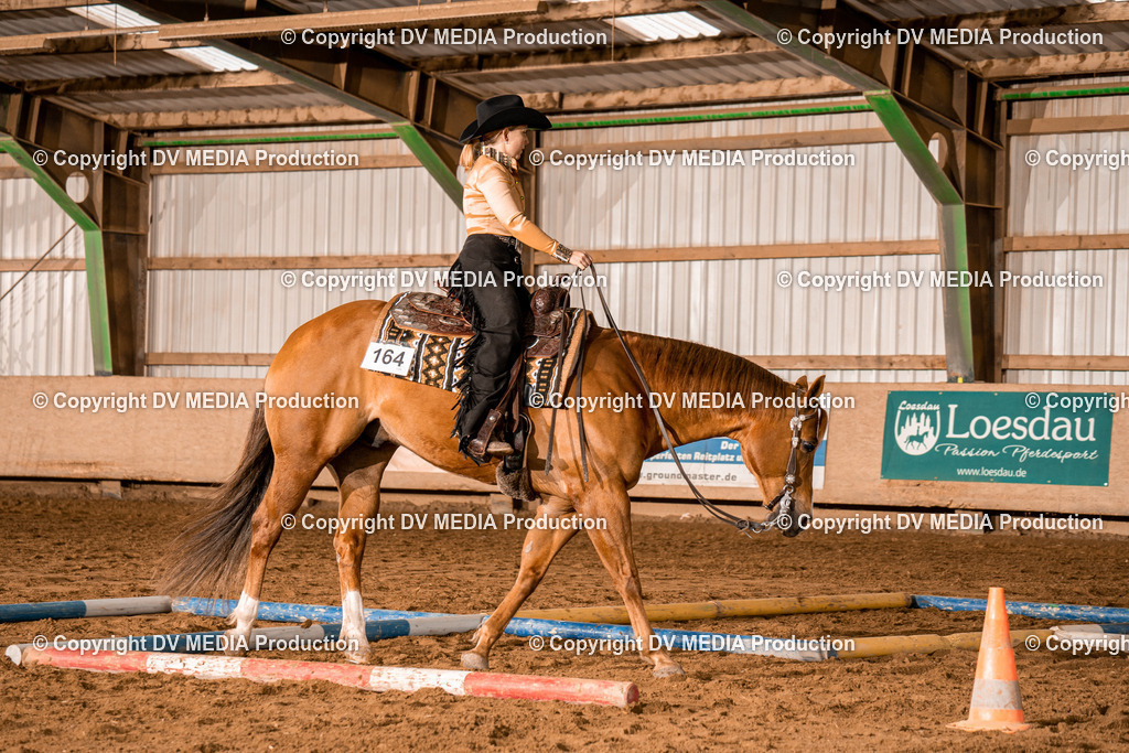 BA300379 | dv-media-shop - Realisiert mit Pictrs.com