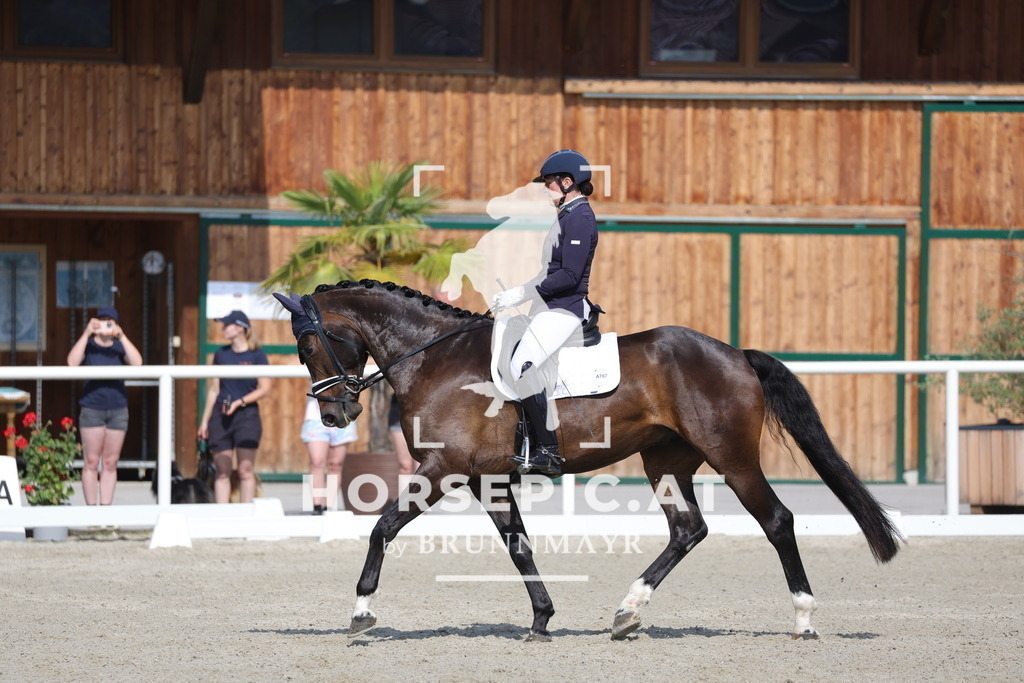 0P6A4649 | Willkommen bei Brunnmayr - Design & Fotografie – Ihrem Spezialisten für Reitturniere und Pferdeveranstaltungen in Oberösterreich, Salzburg und Bayern! Seit über 17 Jahren sind wir leidenschaftlich dabei.