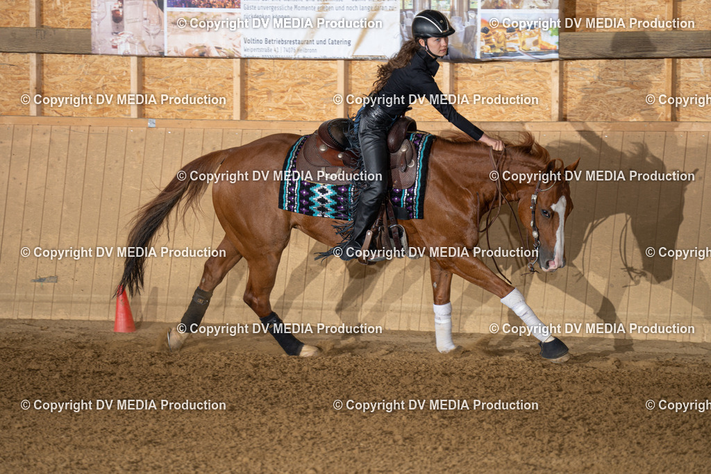 DSC00029 | dv-media-shop - Realisiert mit Pictrs.com