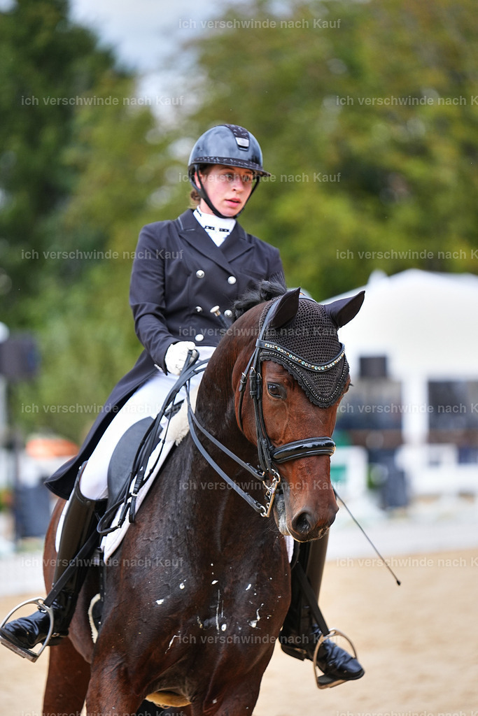 8_1-099-Klasse S_  -Marixx-4172 | working equitationturnier fotograf videograf stoibphotography marixx film working equitation deutschland reitsport turnierfotografie eventfotografie equestrian events