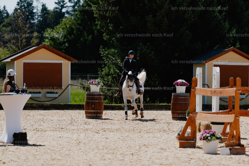 Steffi23_FHC2025-49 | working equitationturnier fotograf videograf stoibphotography marixx film working equitation deutschland reitsport turnierfotografie eventfotografie equestrian events