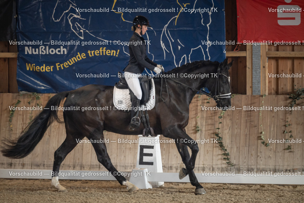 _D5A4348 | Emotionale Pferde- & People-Fotografie rund um Heidelberg, Leimen & Umgebung. Natürliche Fotos von Pferd, Mensch & Familie. Jetzt Termin sichern!