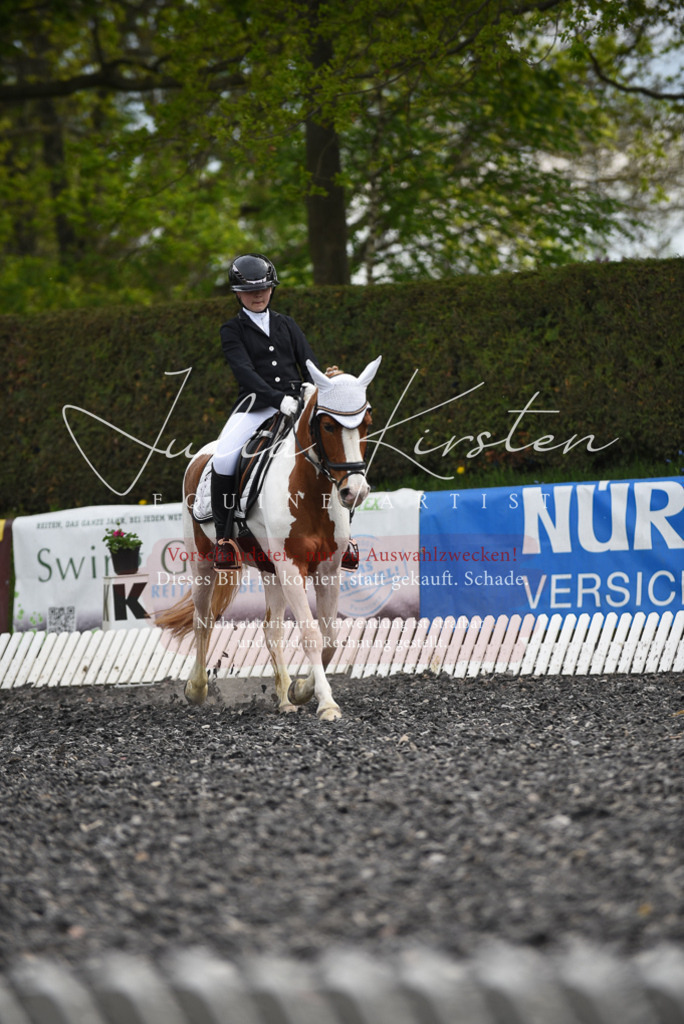 20230513_JK-Röhrsdorf-16-260 | Pferde- und Turnierfotografie in Westsachsen. Pferdeportraits, Auftragszeichnungen und intuitive Kunst.