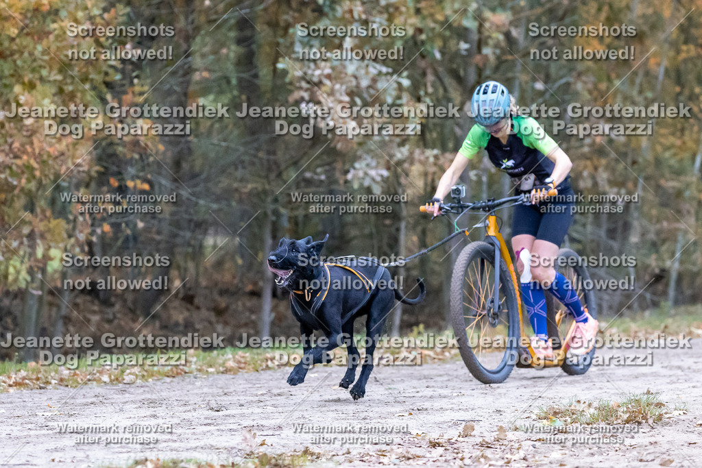 Dog Paparazzi - SD CaniX Championship 2025-181 | Dog Paparazzi Jeanette Grottendiek Fotografie & Videografie - Realisiert mit Pictrs.com