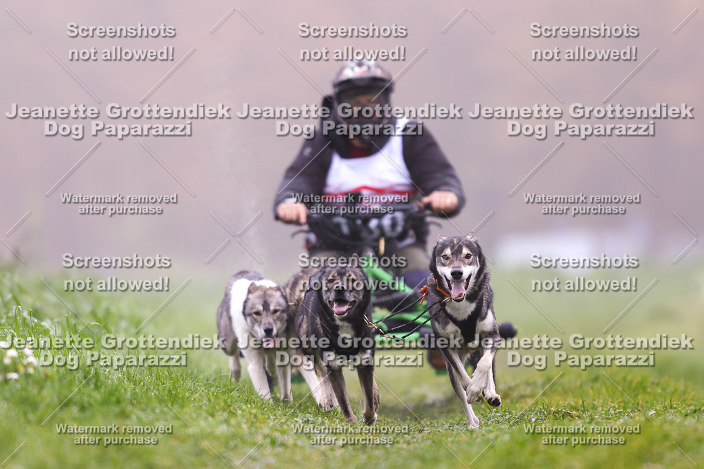 Dog Paparazzi - Visbeck 25 -23 | Dog Paparazzi Jeanette Grottendiek Fotografie & Videografie