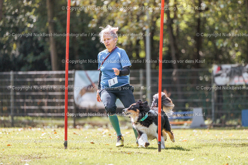 THS-HSV-Blumenthal-2026-Nickbest-Hundefotografie-3638 | Dein Hund! Dein Moment! Deine Erinnerungen! Hundefotografie in Bremen Blumenthal. Ich fange die besonderen Momente deines Vierbeiners ein – ob Indoor mit Blitzanlage oder in der freien Natur. Sicher dir dein Moment und dein Termin für eure Erinnerungen.