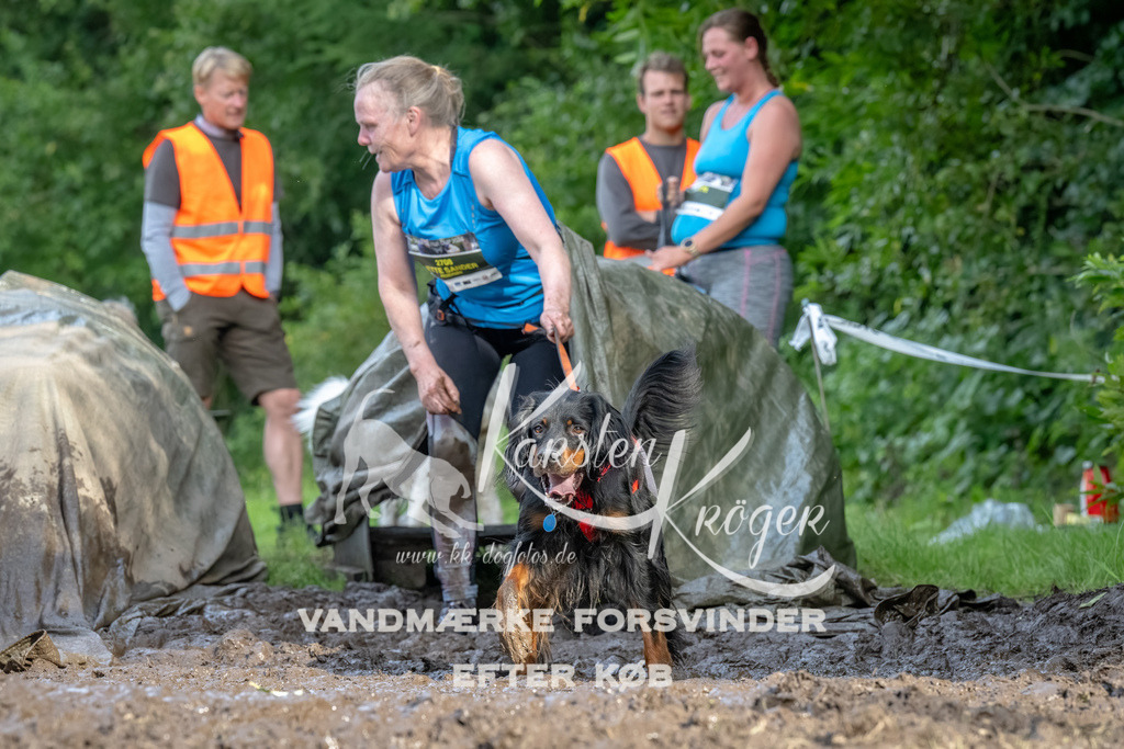 1730_ZZ92384-Bearbeitet | kk-dogfotos