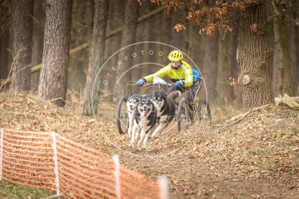 Pfotenfotografie_DV3A4838 | Hundefotografie, Tierfotograf, Pfotenfotografie, Fotoshooting Hund, Hunde Portrait, Hundesport, Hundeportraits, Heideshooting, Hunde, Sportfotograf, Hundefotograf, Turnierhundsport, THS,  - Realisiert mit Pictrs.com