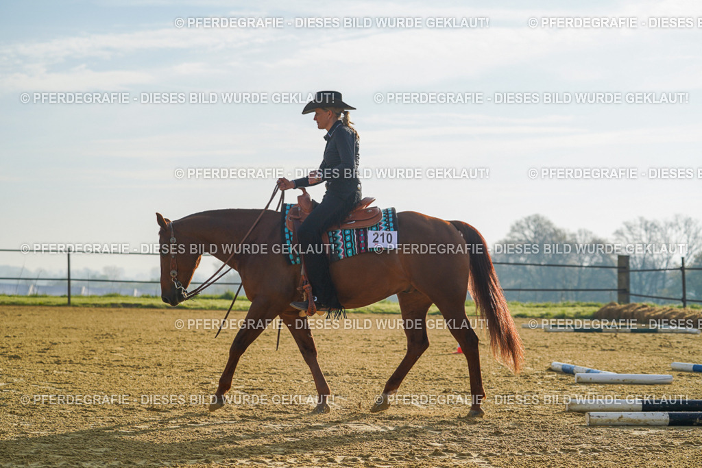 DSC00104 | Pferdegrafie