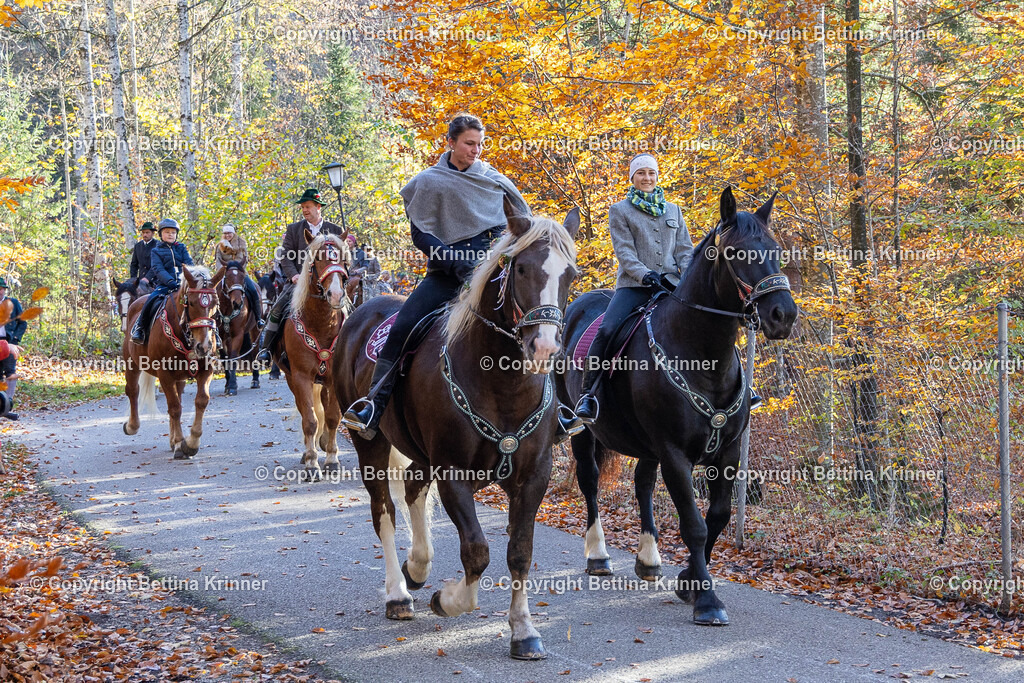 LL24-340 | foto-bettina-krinner - Realisiert mit Pictrs.com