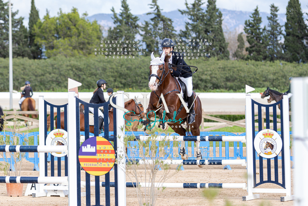 IMG_3039 | s-jay-photography - Realisiert mit Pictrs.com