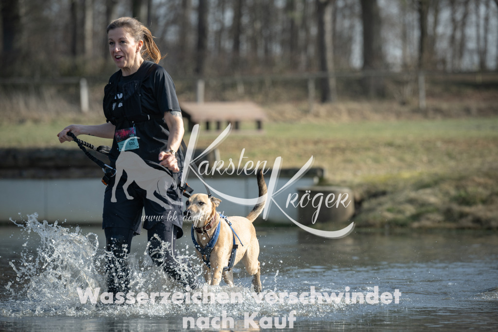 1331_ZZ96818 | kk-dogfotos