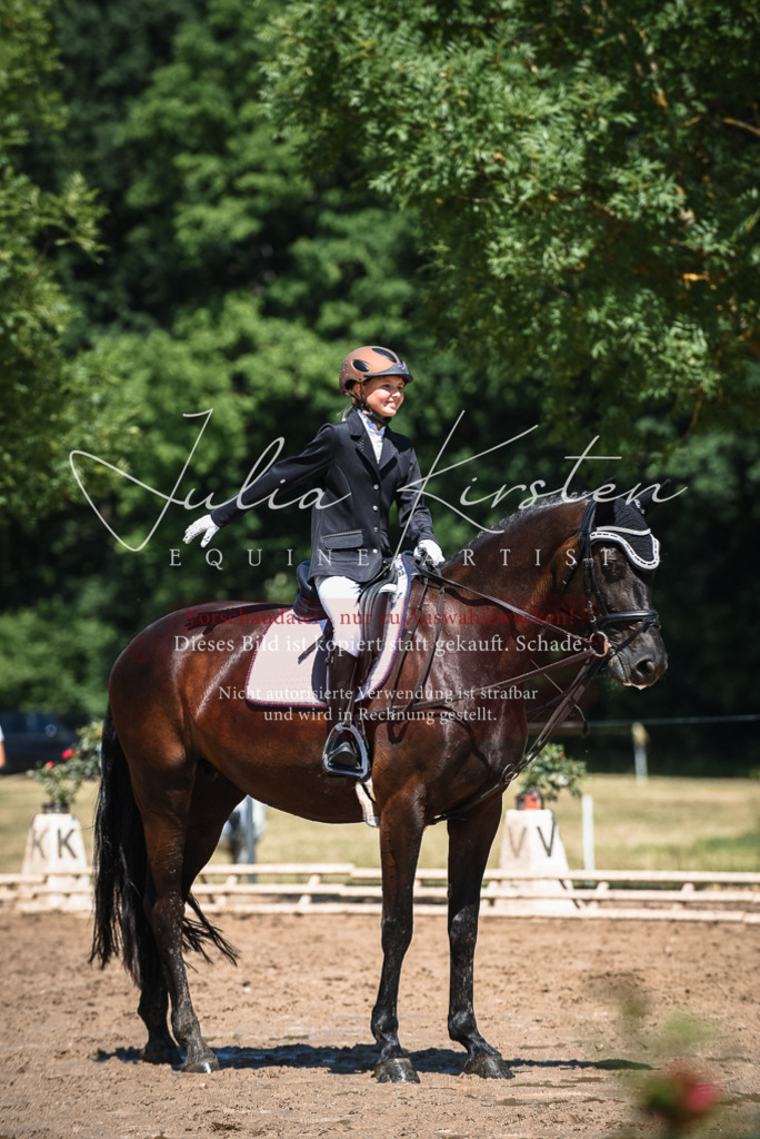 DSC_2784 | Pferde- und Turnierfotografie in Westsachsen. Pferdeportraits, Auftragszeichnungen und intuitive Kunst.