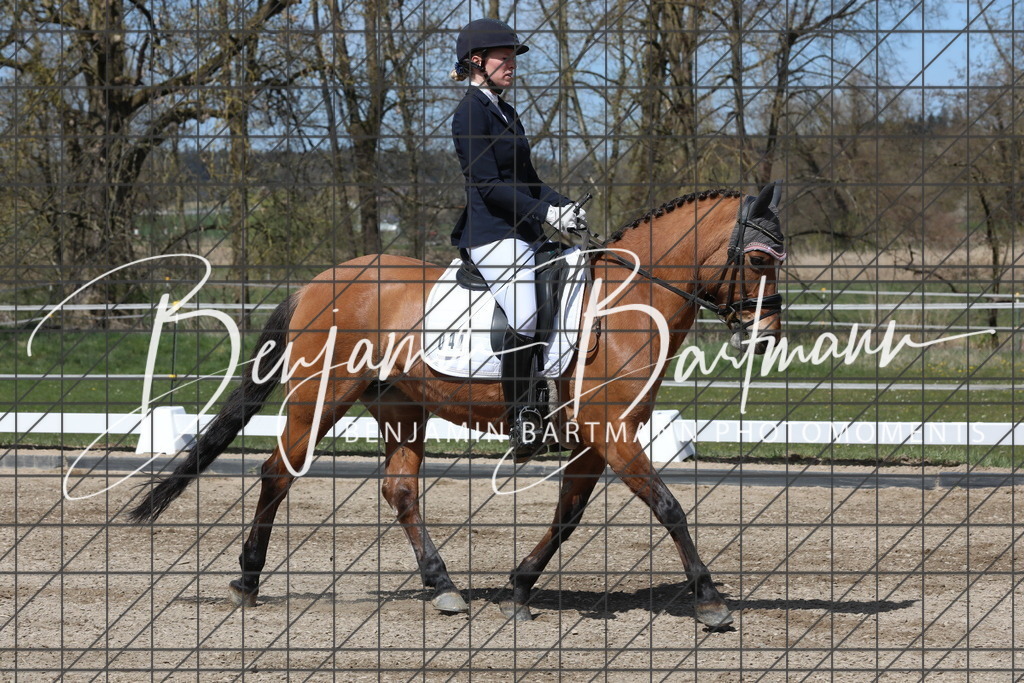 AZ2A3978 | Benjamin Bartmann Photomoments