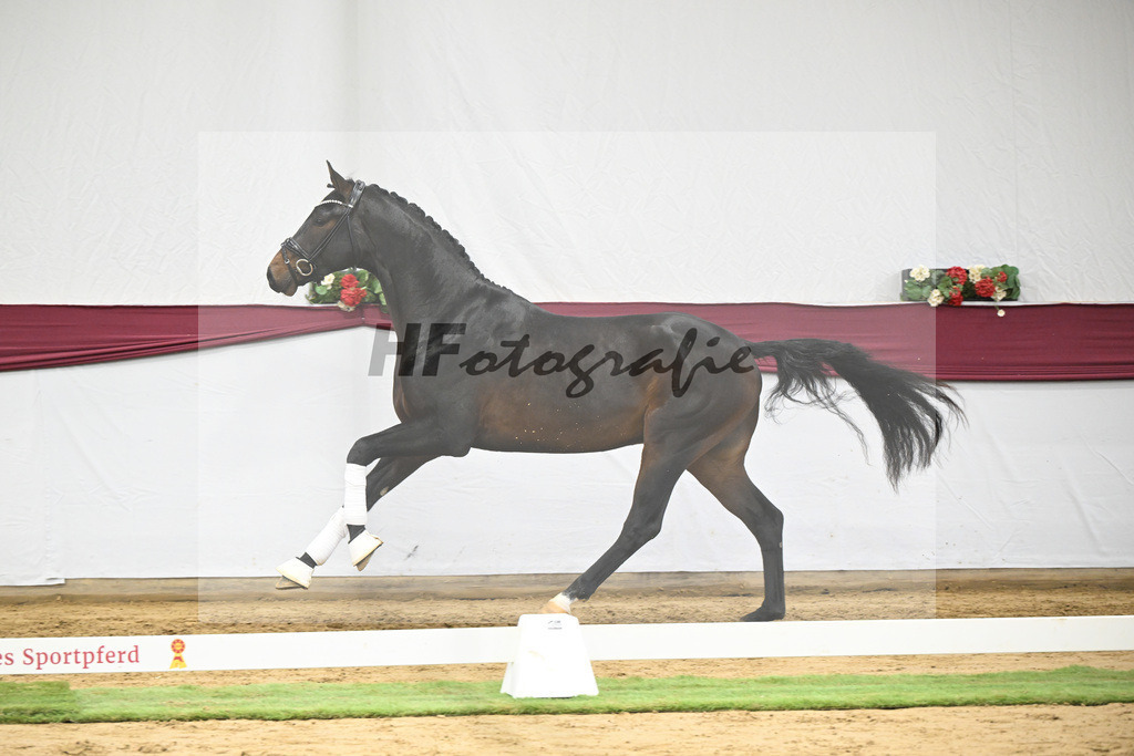 Kat-Nr. 66 Feliciano x Fidertanz_Franz Winklmaier_47252516 | hf-fotografie - Realisiert mit Pictrs.com