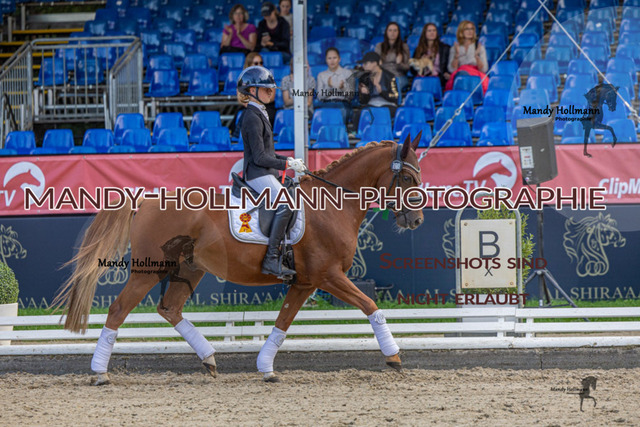 _MG_0386 | mandyhollmannphotographie