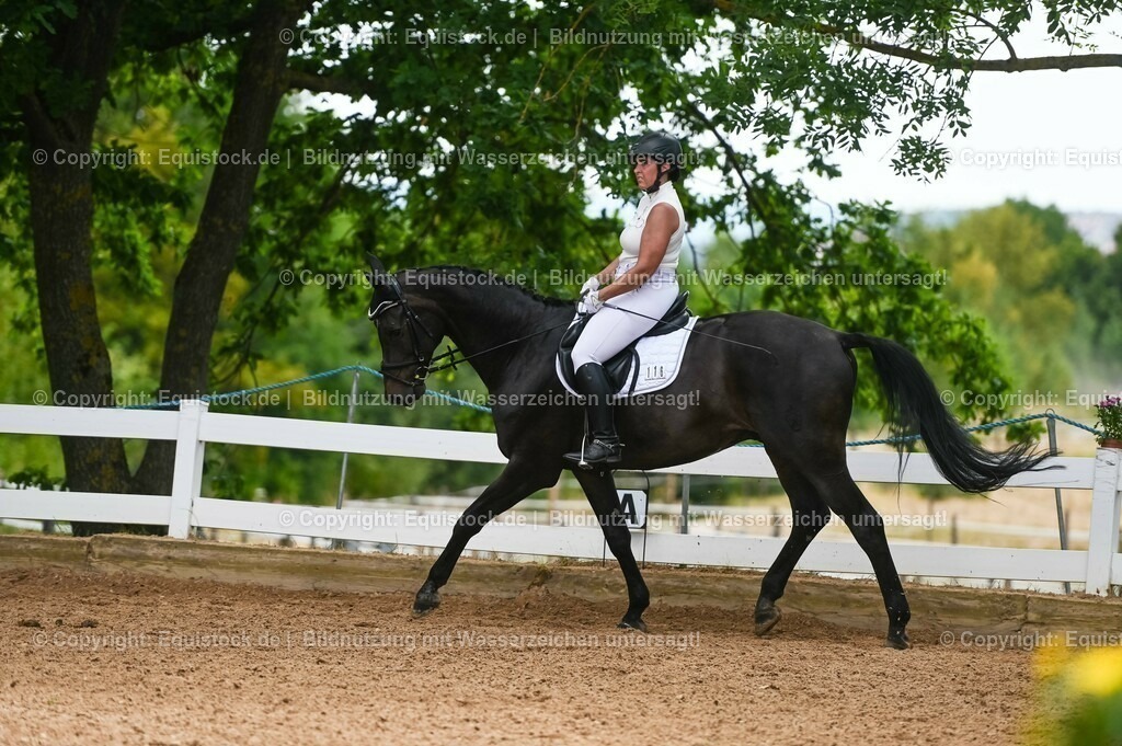 20230715_05_Dressurprüfung Kl.A++_0132 | equistock