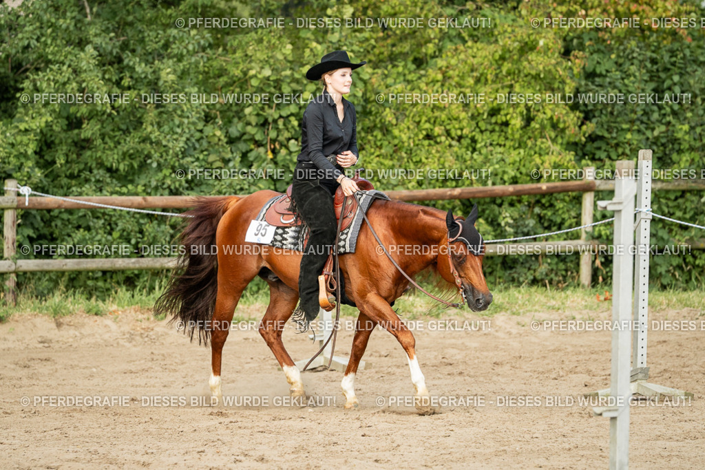 DSC06075 | Pferdegrafie