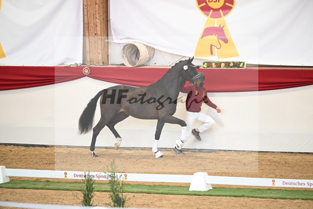 Kat.-Nr. 66 v. Fürstenball_Höchsmann_2250457 | hf-fotografie - Realisiert mit Pictrs.com