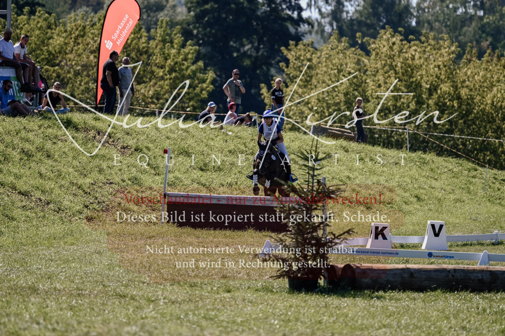 DSC_1684 | Pferde- und Turnierfotografie in Westsachsen. Pferdeportraits, Auftragszeichnungen und intuitive Kunst.