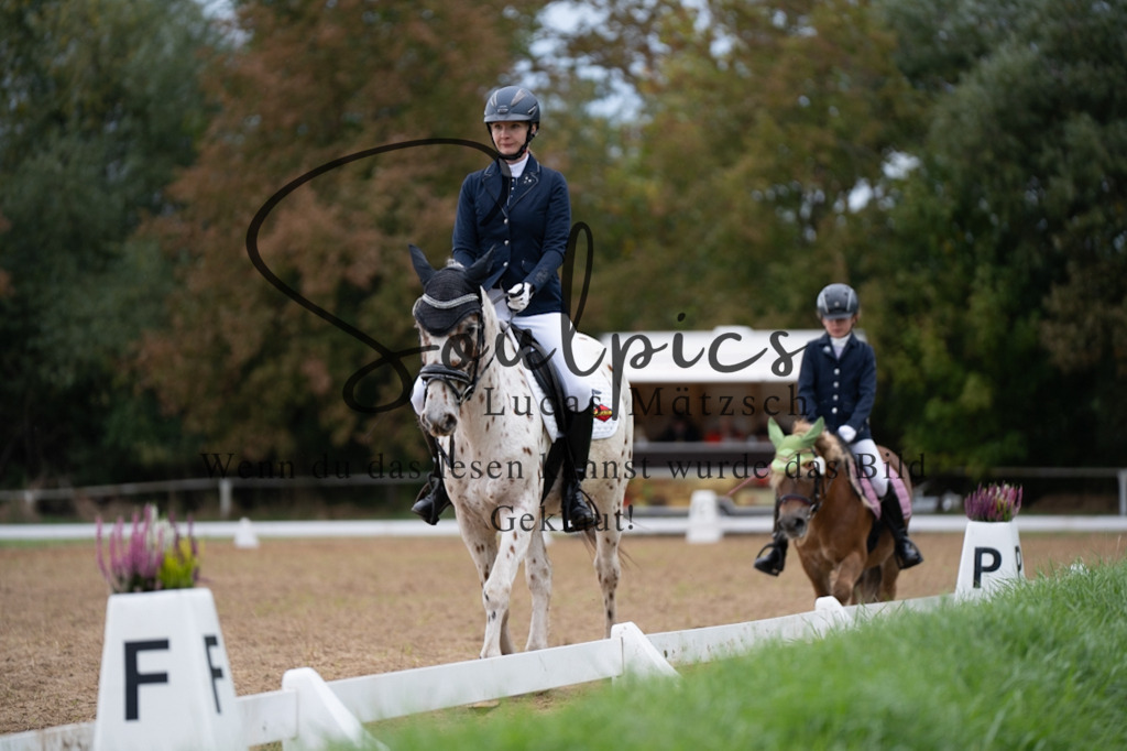 A7V05070 | Pferdefotograf