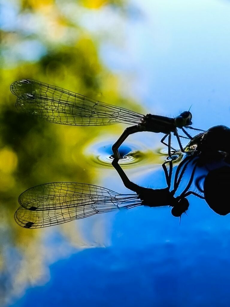 PSX_20220818_230741 | mtkfoto_ - Realisiert mit Pictrs.com