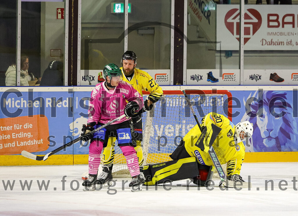 2025-10-10_062_TSV_Erding_gegen_onesto_Tigers_Bayreuth | Erding, Deutschland, 10.10.2025:Eishockey, Oberliga Süd 2025 / 2026, 7. Spieltag, TSV Erding gegen onesto Tigers Bayreuth, Endergebnis: 2:5Thomas Matheson (Erding Gladiators, #37), Ondrej Nedved (onesto Tigers Bayreuth, #27), Torwart Maximilian Meier (onesto Tigers Bayreuth, #30)Foto: Christian Riedel / fotografie-riedel.net