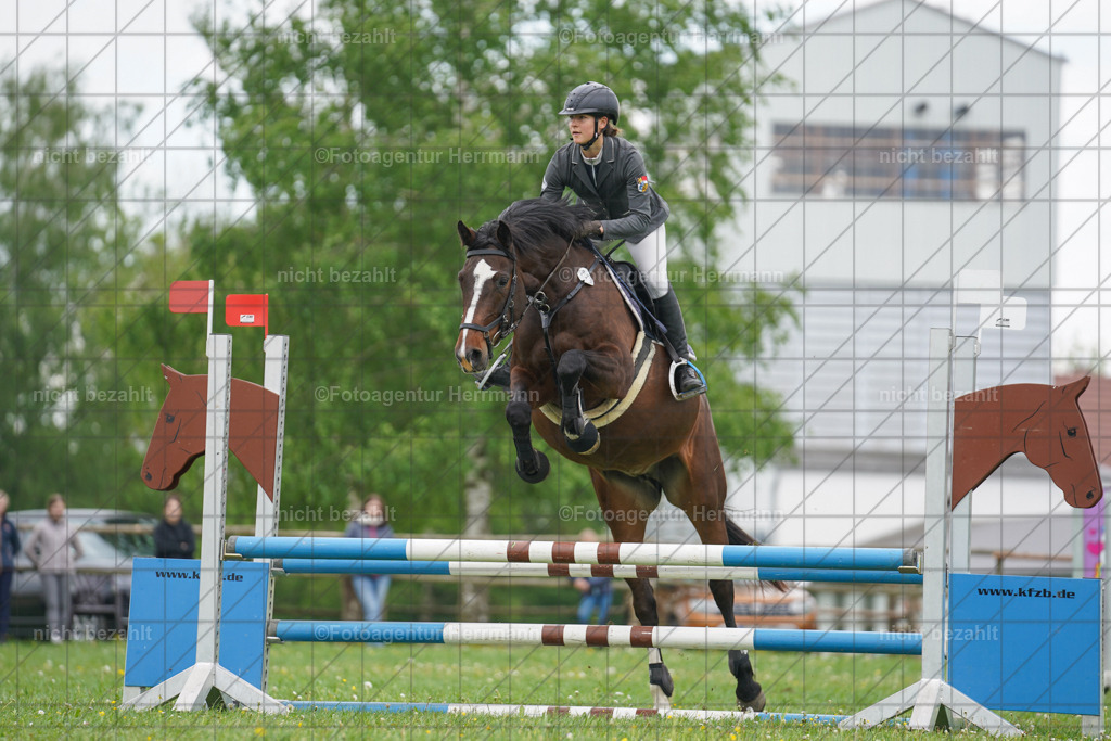 20240509-FAH02542 | Turnierbilder der Turnierfotografen Bayern, Pferdesport Fotografie, Reitsportbilder, Turnier Landberg am Lech, Turnierbilder bayern, Fotoagentur Herrmann