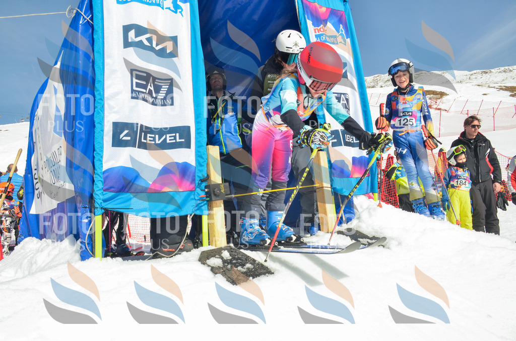 _ELE5486 | holidayphoto