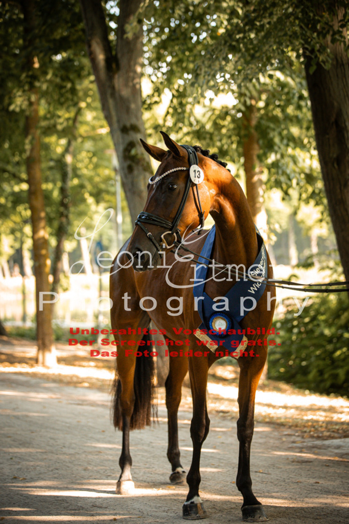 DoER00141 | Leoni Ertmer Photography - Realisiert mit Pictrs.com