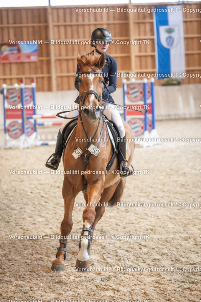 _D5A7678 | Emotionale Pferde- & People-Fotografie rund um Heidelberg, Leimen & Umgebung. Natürliche Fotos von Pferd, Mensch & Familie. Jetzt Termin sichern!