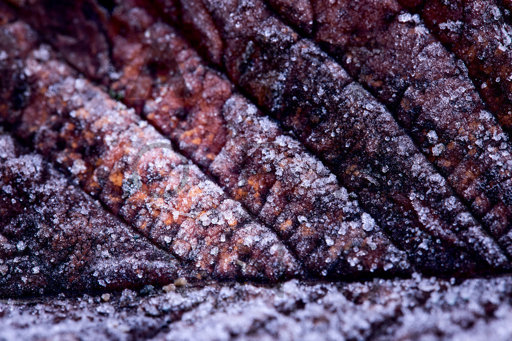 Ein Hans Fineart Original | Entdecke die Kunst von Hans Fineart - Fotografien für dein Zuhause. Verwandle deine Wände mit einzigartigen Kunstwerken und bringe die Schönheit der Welt in dein Leben. Bestelle jetzt und schaffe einen Ort der Inspiration und Eleganz.